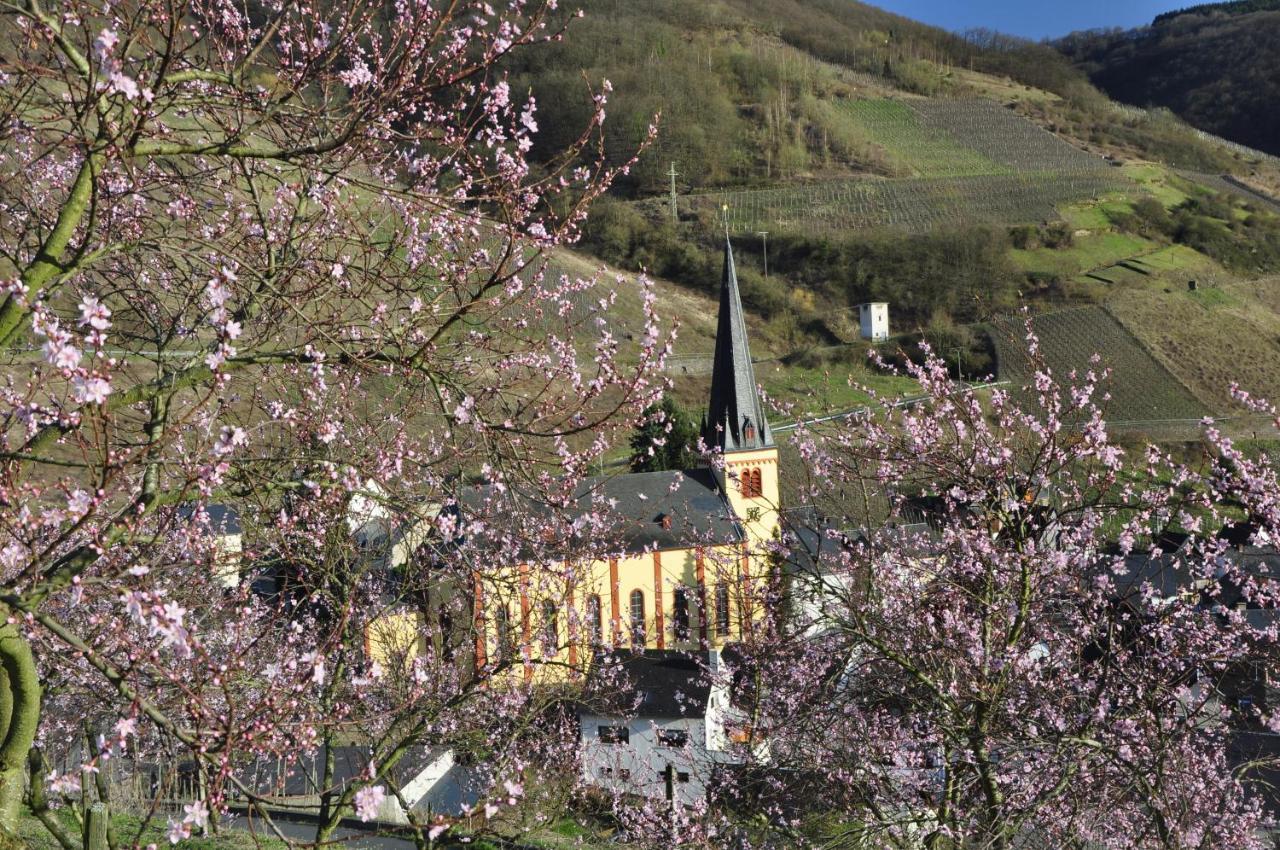 Gaestehaus Sehl Apartment Senheim