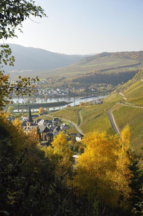 Gaestehaus Sehl Senheim